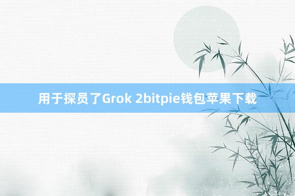 用于探员了Grok 2bitpie钱包苹果下载