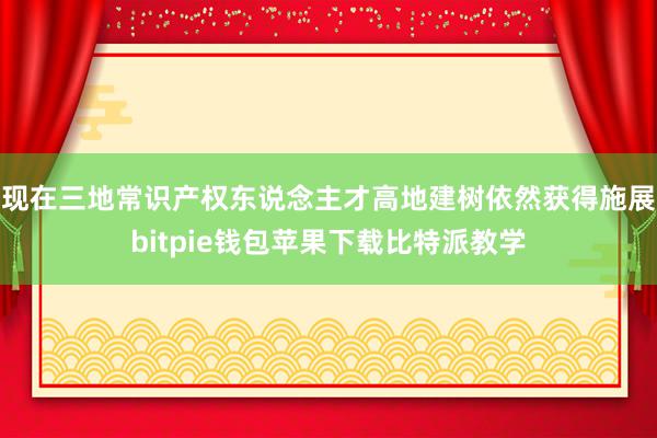 现在三地常识产权东说念主才高地建树依然获得施展bitpie钱包苹果下载比特派教学