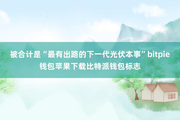 被合计是“最有出路的下一代光伏本事”bitpie钱包苹果下载比特派钱包标志