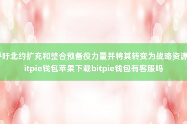 呼吁北约扩充和整合预备役力量并将其转变为战略资源bitpie钱包苹果下载bitpie钱包有客服吗