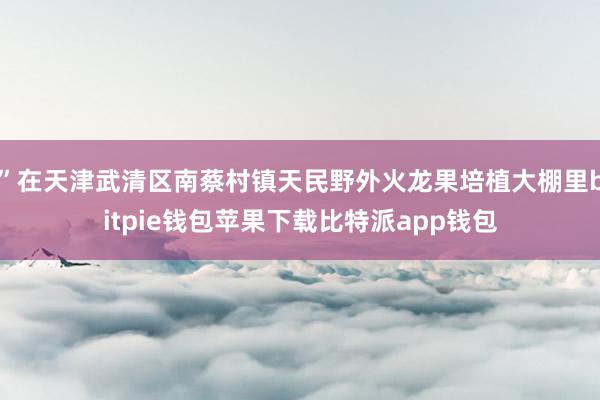 ”在天津武清区南蔡村镇天民野外火龙果培植大棚里bitpie钱包苹果下载比特派app钱包