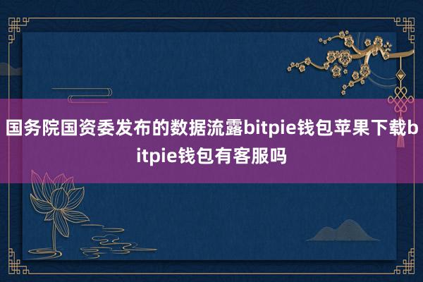 国务院国资委发布的数据流露bitpie钱包苹果下载bitpie钱包有客服吗