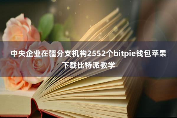 中央企业在疆分支机构2552个bitpie钱包苹果下载比特派教学