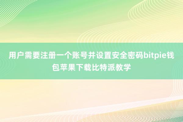 用户需要注册一个账号并设置安全密码bitpie钱包苹果下载比特派教学