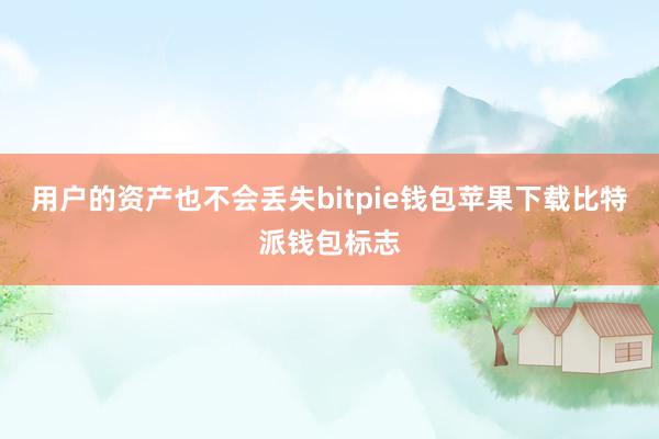 用户的资产也不会丢失bitpie钱包苹果下载比特派钱包标志