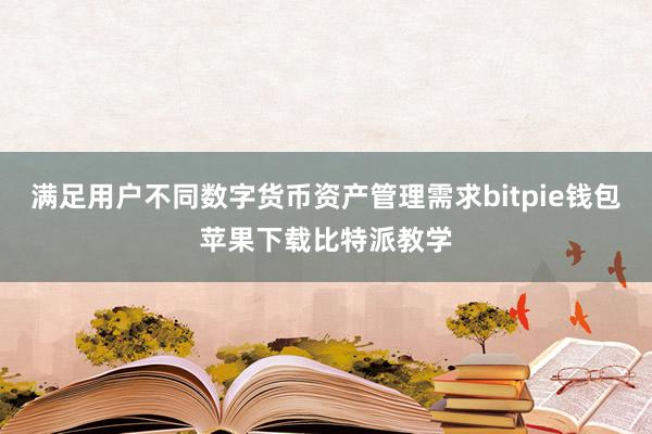 满足用户不同数字货币资产管理需求bitpie钱包苹果下载比特派教学