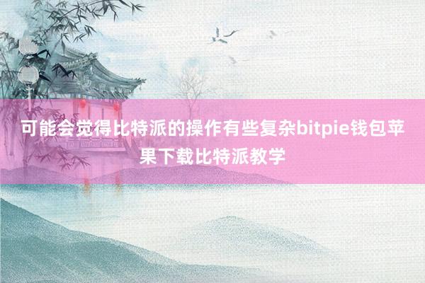 可能会觉得比特派的操作有些复杂bitpie钱包苹果下载比特派教学