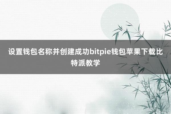 设置钱包名称并创建成功bitpie钱包苹果下载比特派教学