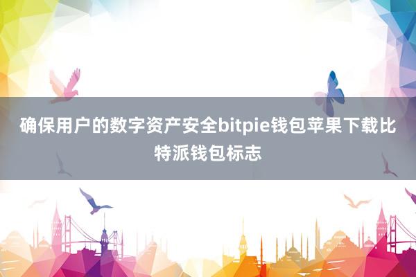 确保用户的数字资产安全bitpie钱包苹果下载比特派钱包标志