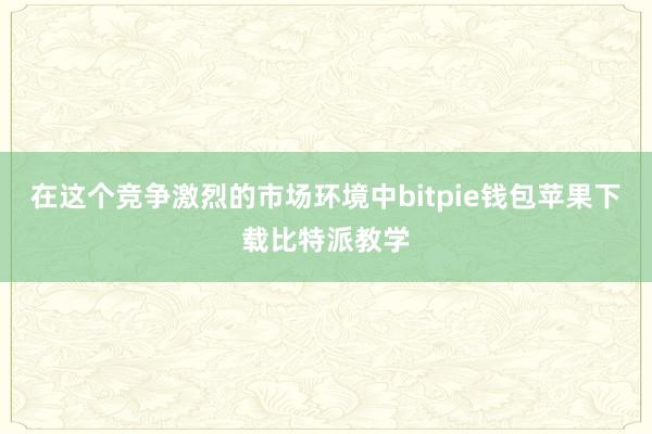 在这个竞争激烈的市场环境中bitpie钱包苹果下载比特派教学