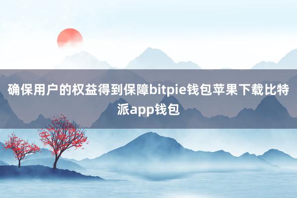 确保用户的权益得到保障bitpie钱包苹果下载比特派app钱包