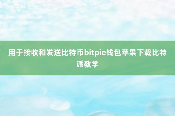 用于接收和发送比特币bitpie钱包苹果下载比特派教学