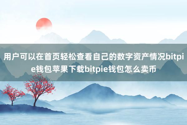 用户可以在首页轻松查看自己的数字资产情况bitpie钱包苹果下载bitpie钱包怎么卖币