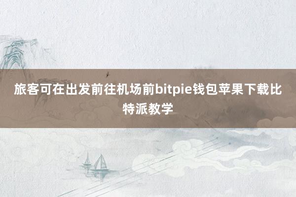 旅客可在出发前往机场前bitpie钱包苹果下载比特派教学