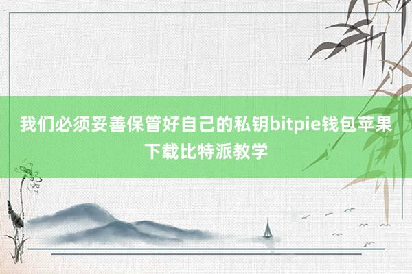 我们必须妥善保管好自己的私钥bitpie钱包苹果下载比特派教学