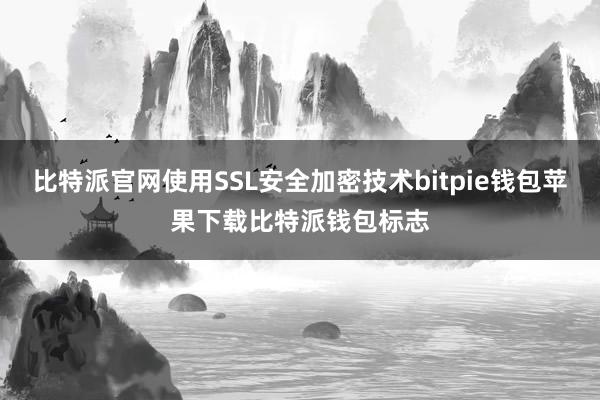 比特派官网使用SSL安全加密技术bitpie钱包苹果下载比特派钱包标志