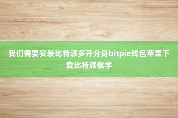 我们需要安装比特派多开分身bitpie钱包苹果下载比特派教学