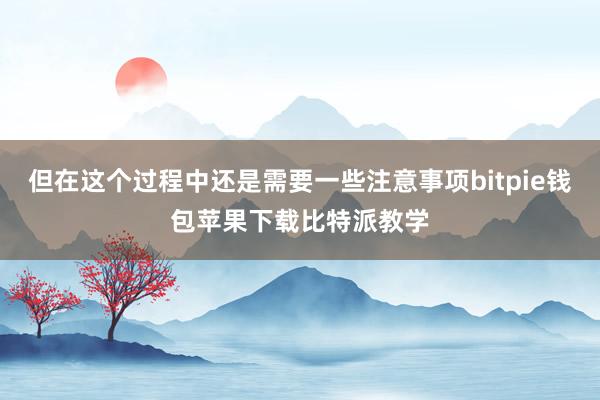 但在这个过程中还是需要一些注意事项bitpie钱包苹果下载比特派教学