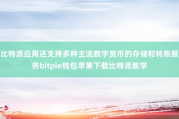 比特派应用还支持多种主流数字货币的存储和转账服务bitpie钱包苹果下载比特派教学