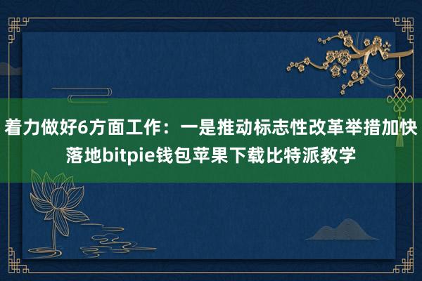 着力做好6方面工作：一是推动标志性改革举措加快落地bitpie钱包苹果下载比特派教学