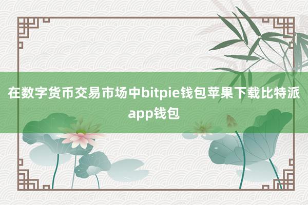 在数字货币交易市场中bitpie钱包苹果下载比特派app钱包