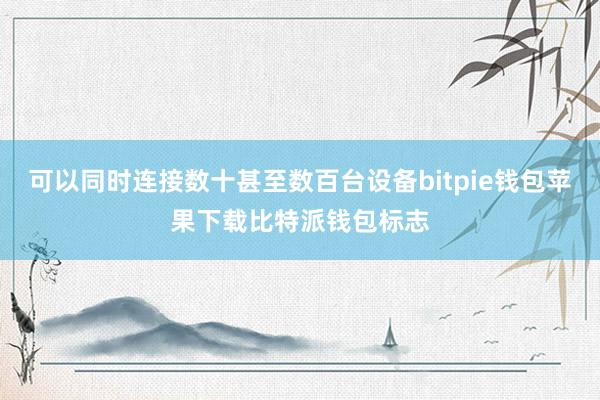 可以同时连接数十甚至数百台设备bitpie钱包苹果下载比特派钱包标志