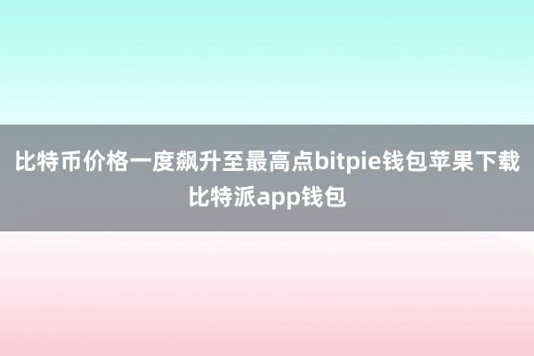 比特币价格一度飙升至最高点bitpie钱包苹果下载比特派app钱包