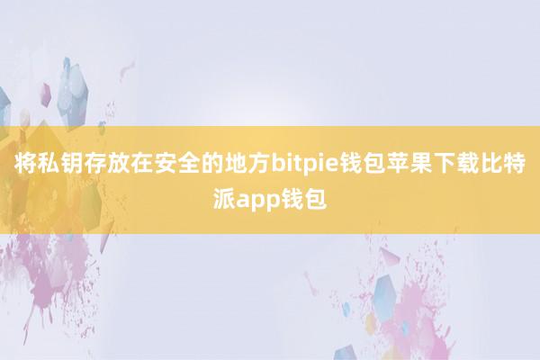 将私钥存放在安全的地方bitpie钱包苹果下载比特派app钱包