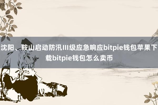 沈阳、鞍山启动防汛Ⅲ级应急响应bitpie钱包苹果下载bitpie钱包怎么卖币