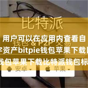 用户可以在应用内查看自己的数字资产bitpie钱包苹果下载比特派钱包标志