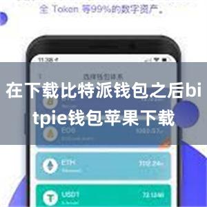 在下载比特派钱包之后bitpie钱包苹果下载