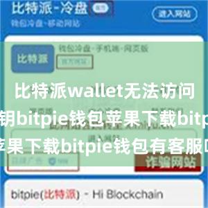 比特派wallet无法访问用户的私钥bitpie钱包苹果下载bitpie钱包有客服吗