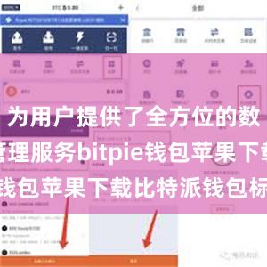 为用户提供了全方位的数字货币管理服务bitpie钱包苹果下载比特派钱包标志