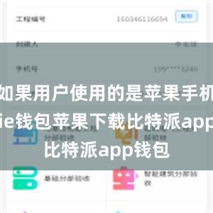 如果用户使用的是苹果手机bitpie钱包苹果下载比特派app钱包