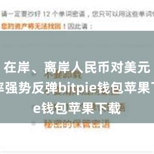 在岸、离岸人民币对美元汇率强势反弹bitpie钱包苹果下载