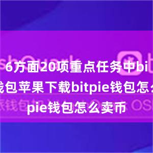 6方面20项重点任务中bitpie钱包苹果下载bitpie钱包怎么卖币