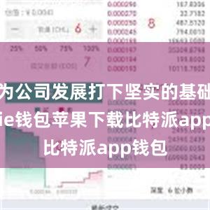 为公司发展打下坚实的基础bitpie钱包苹果下载比特派app钱包