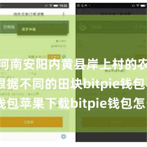 河南安阳内黄县岸上村的农技人员正根据不同的田块bitpie钱包苹果下载bitpie钱包怎么卖币
