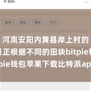 河南安阳内黄县岸上村的农技人员正根据不同的田块bitpie钱包苹果下载比特派app钱包