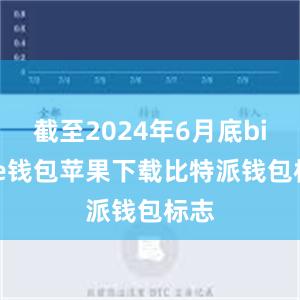 截至2024年6月底bitpie钱包苹果下载比特派钱包标志