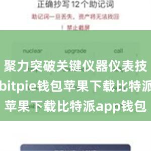 聚力突破关键仪器仪表技术瓶颈bitpie钱包苹果下载比特派app钱包