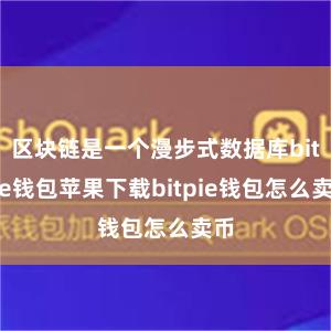 区块链是一个漫步式数据库bitpie钱包苹果下载bitpie钱包怎么卖币