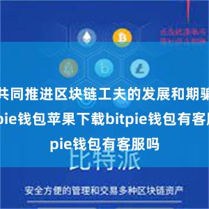 共同推进区块链工夫的发展和期骗bitpie钱包苹果下载bitpie钱包有客服吗