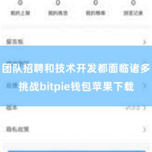 团队招聘和技术开发都面临诸多挑战bitpie钱包苹果下载
