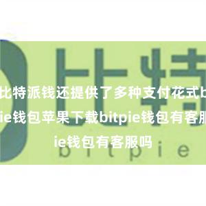 比特派钱还提供了多种支付花式bitpie钱包苹果下载bitpie钱包有客服吗