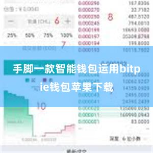 手脚一款智能钱包运用bitpie钱包苹果下载